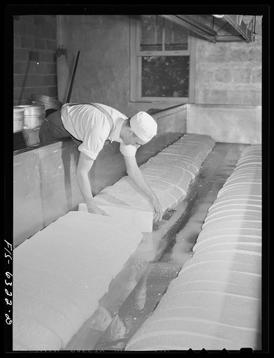 Westby, Vernon County, Wisconsin. Arvid Grimstead, cheese maker, at work on cheddar cheese at the cooperative creamery