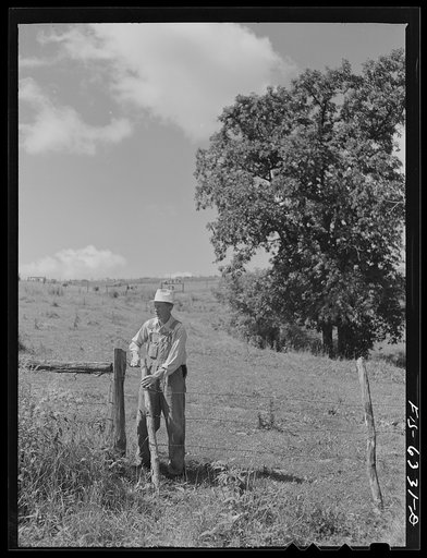 Vernon County, Wisconsin. Saugstad closing a fire gate in the pasture
