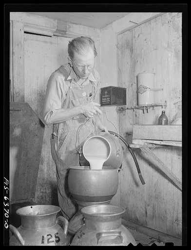 Vernon County, Wisconsin. Saugstad filtering milk before cooling