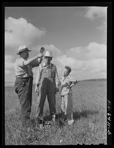 Untitled photo, possibly related to: Vernon County, Wisconsin. Saugstad and son, Teddy, watching the soil tester at work