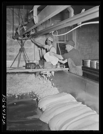 Westby, Vernon County, Wisconsin. Making chedder cheese at the cooperative creamery
