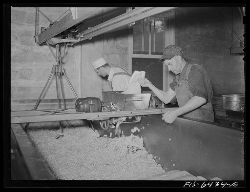 Untitled photo, possibly related to: Westby, Vernon County, Wisconsin. Making chedder cheese at the cooperative creamery