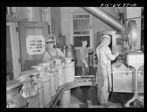 Westby, Vernon County, Wisconsin. Intake room where milk is dumped and weighed at the cooperative creamery