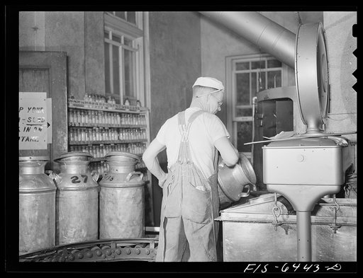 Westby, Vernon County, Wisconsin. Dumping milk at the cooperative creamery