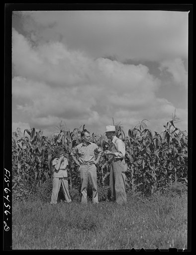 Vernon County, Wisconsin. Saugstad discussing conservation methods with a representative of the Soil Conservation Service