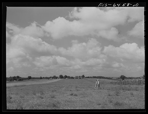 Vernon County, Wisconsin. Saugstad and Soil Conservation Service man looking over strip cropping
