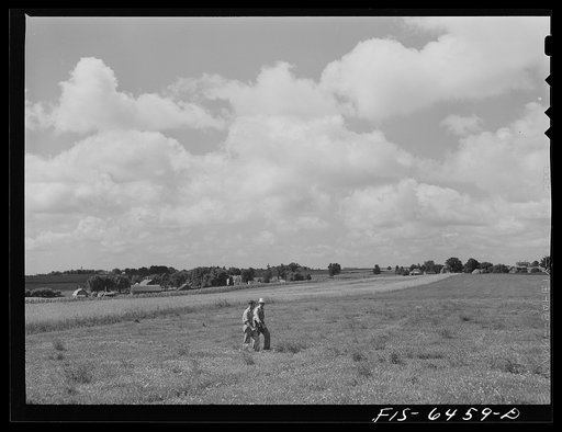 Vernon County, Wisconsin. Saugstad and Soil Conservation Service man looking over strip cropping