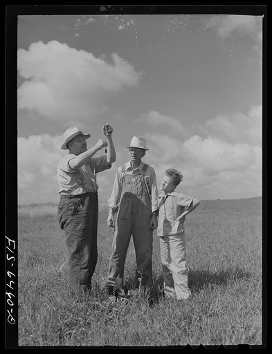 Vernon County, Wisconsin. Saugstad and son, Teddy, watching the soil tester at work