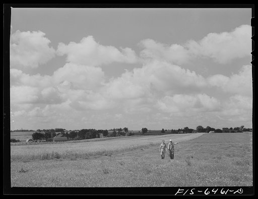 Vernon County, Wisconsin. Saugstad and Soil Conservation Service man looking over strip cropping