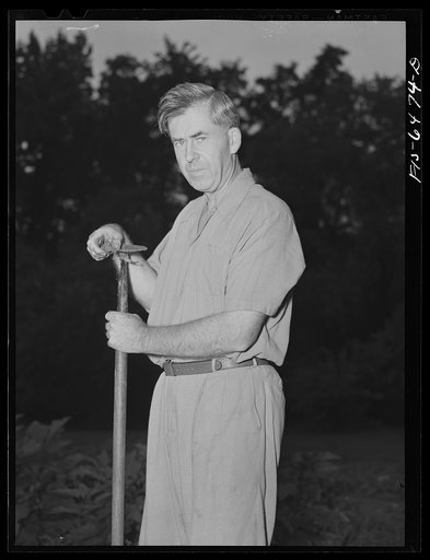 Washington, D.C. Vice President Henry A. Wallace in his victory garden