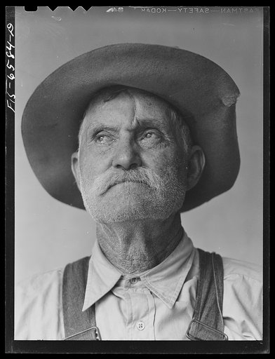 Untitled photo, possibly related to: Hayti, Missouri. U.S. Rural Electrification Administration (REA) cooperative member