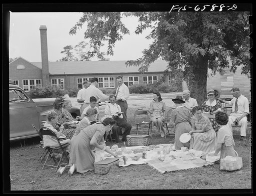 Hayti, Missouri. Cotton carnival. Picnic