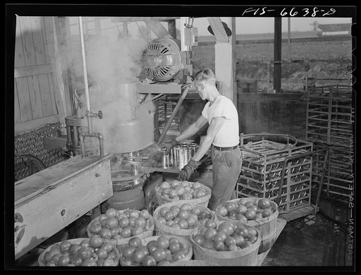 Untitled photo, possibly related to: Dunklin County, Missouri. Canning tomatoes with U.S. Rural Electrification Administration (REA) power