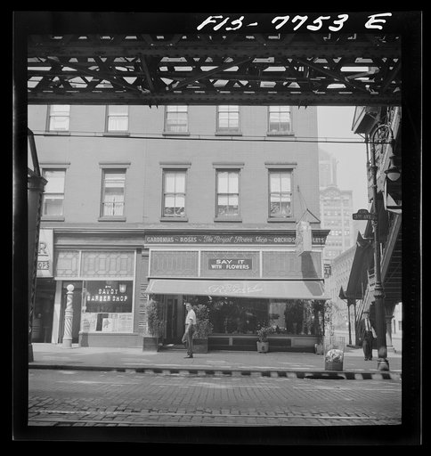 New York, New York. Third Avenue elevated railway at 18th Street