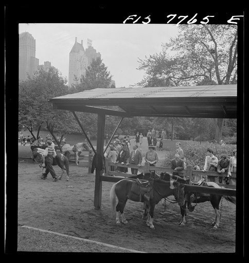 Untitled photo, possibly related to: New York, New York. Pony riding in Central Park