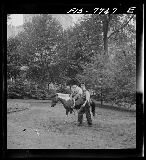 Untitled photo, possibly related to: New York, New York. Pony riding in Central Park