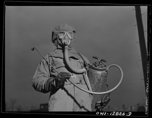 Fort Belvoir, Virginia. Constantine P. Lihas, a twenty-one year old Greek-American soldier, formerly a material handler at the General Electric Company plant at Pittsburgh. Both parents were born in Greece; father came to the United States in 1906, mother in 1921. He was born in this country and has