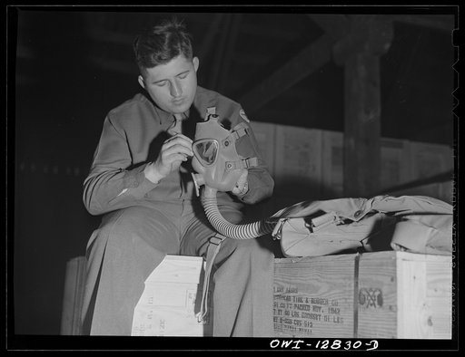 Fort Belvoir, Virginia. Constantine P. Lihas, a twenty-one year old Greek-American soldier, formerly a material handler at the General Electric Company plant at Pittsburgh. Both parents were born in Greece; father came to the United States in 1906, mother in 1921. He was born in this country and has