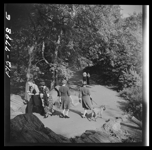New York, New York. Path in Central Park ramble on Sunday