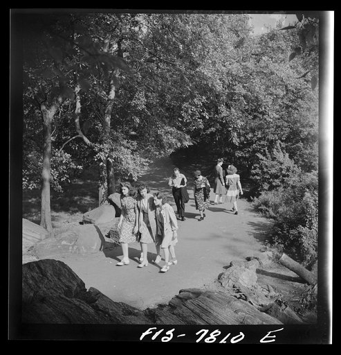 New York, New York. Path in Central Park ramble on Sunday