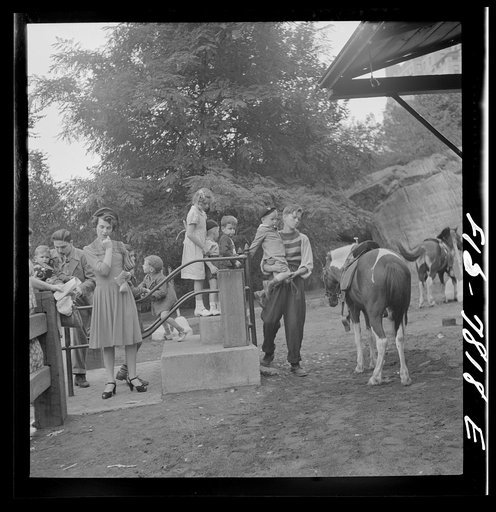 New York, New York. Children lined up for their turn at pony rides in Central Park on Sunday