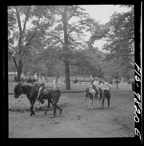 Untitled photo, possibly related to: New York, New York. Pony riding in Central Park