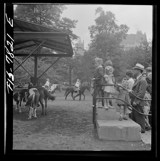 Untitled photo, possibly related to: New York, New York. Children lined up for their turn at pony rides in Central Park on Sunday