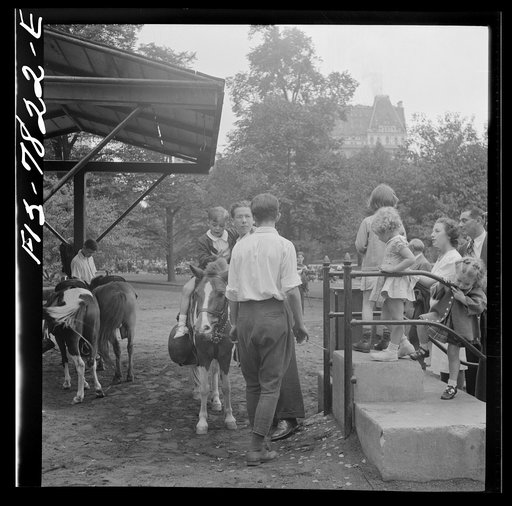 Untitled photo, possibly related to: New York, New York. Children lined up for their turn at pony rides in Central Park on Sunday