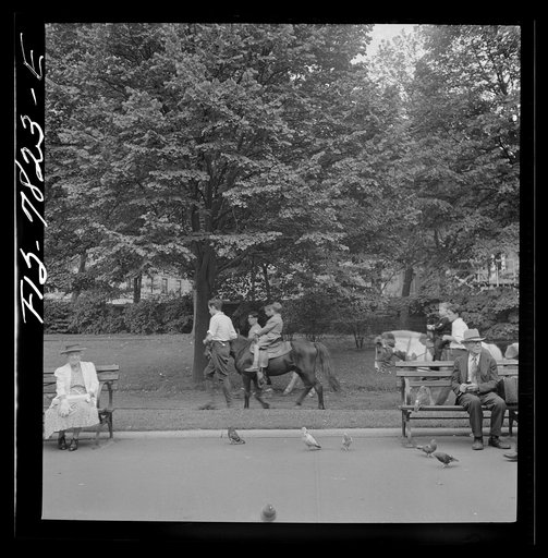 New York, New York. Pony riding in Central Park on Sunday