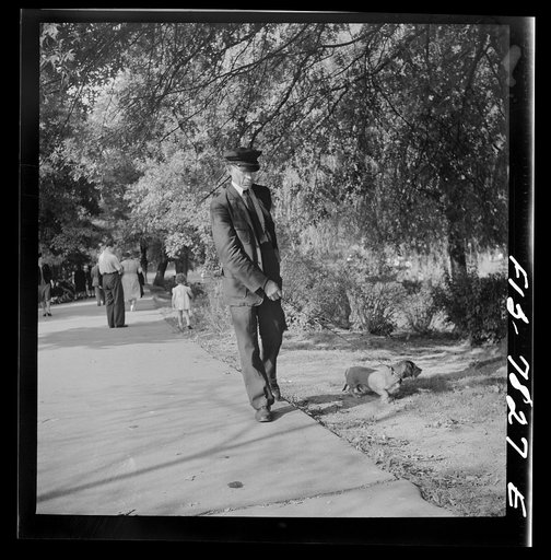 New York, New York. Negro chauffer walking a dachshund in Central Park