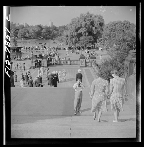 New York, New York. Sunday photographer at the mall fountain in Central Park