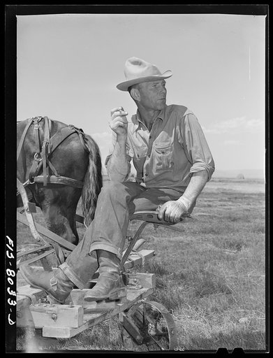 Big Hole Valley, Beaverhead County, Montana. Haying hand