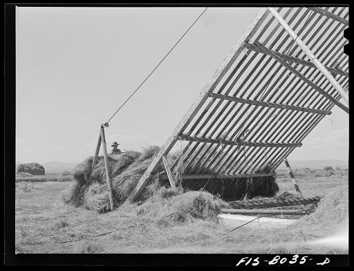 Big Hole Valley, Beaverhead County, Montana. Hay is lifted with this rack