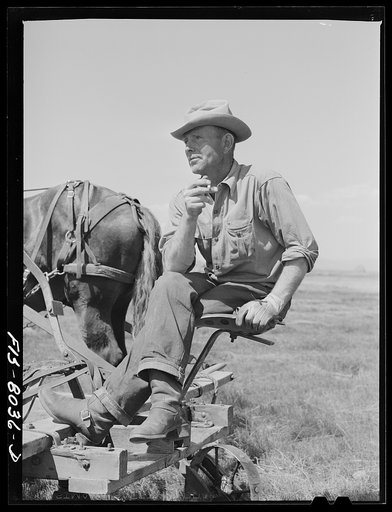 Big Hole Valley, Beaverhead County, Montana. Harvest hand with haying equipment