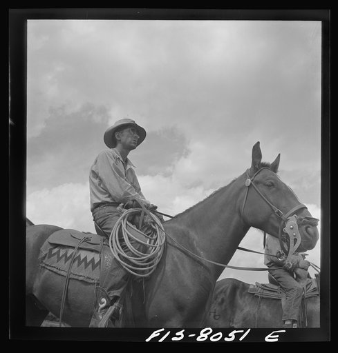 Big Hole Valley, Beaverhead County, Montana. Rancher on horseback