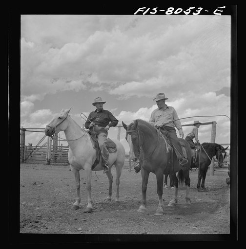 Big Hole Valley, Beaverhead County, Montana. Cattle buyers on ranch. Buyers come from the Middle West to select feeder cattle