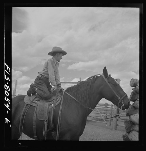 Big Hole Valley, Beaverhead County, Montana. Rancher