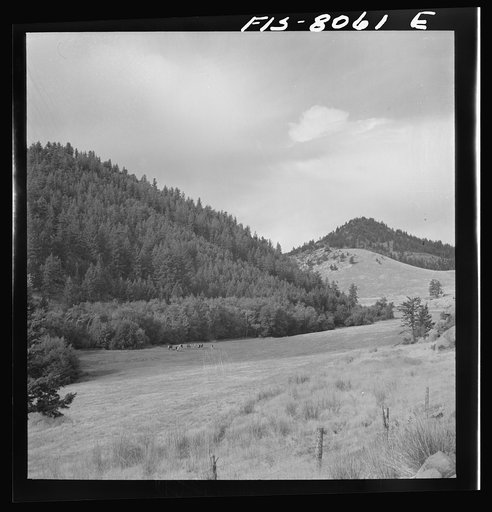 Silver Bow County, Montana. On the road from Butte to Sheridan