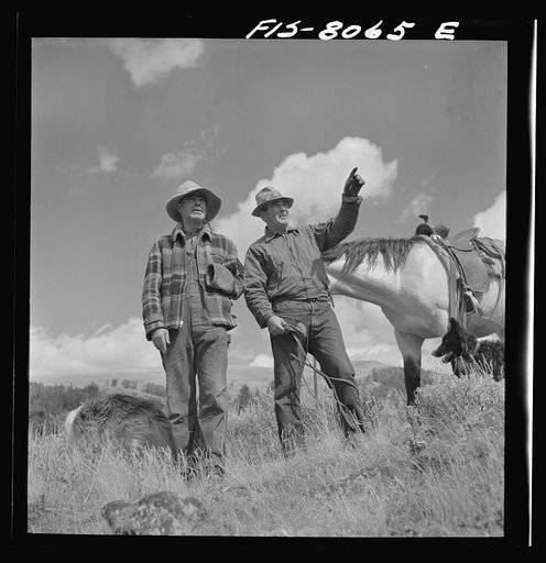 Gravelly Range, Madison County, Montana. Sheep-men. This range is particularly suited to sheep-grazing
