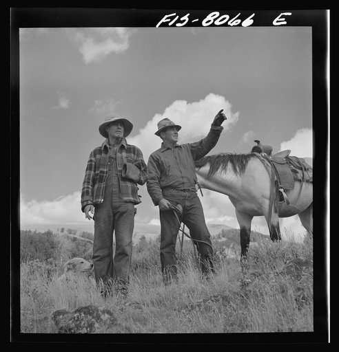 Untitled photo, possibly related to: Gravelly Range, Madison County, Montana. Sheep-men. This range is particularly suited to sheep-grazing