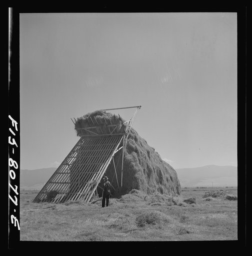 Untitled photo, possibly related to: Big Hole Valley, Beaverhead County, Montana. Haying