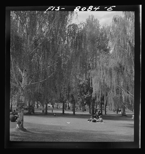 Butte, Montana. Part of Columbia Gardens, an outdoor amusement resort. In 1898, W.A. Clark spent a million dollars to change a barren spot to a park. Every Thursday during the summer, city buses transport children to the park free of charge
