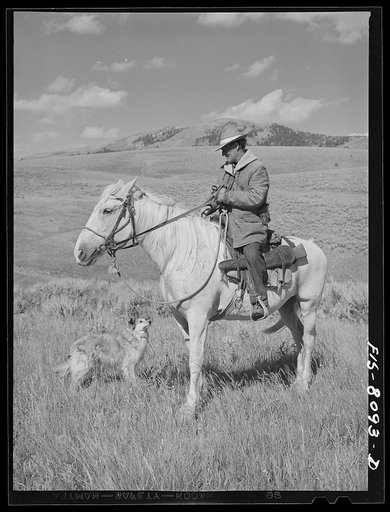 Gravelly Range, Madison County, Montana. Sheepherder