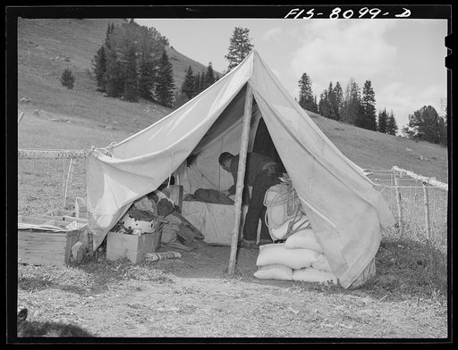 Untitled photo, possibly related to: Gravelly Range, Madison County, Montana. Supply tent of sheepherder