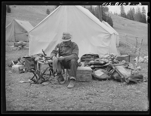 Gravelly Range, Madison County, Montana. Sheepherder with pack-saddle equipment at his camp