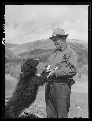 Gravelly Range, Madison County, Montana. Sheepherder and his dog
