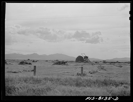 Big Hole Valley, Beaverhead County, Montana. Putting up hay