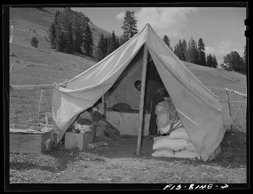 Gravelly Range, Madison County, Montana. Supply tent of sheepherder