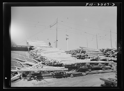 Untitled photo, possibly related to: Butte, Montana. Anaconda Copper Mining Company. Pile of timbering to be used in a copper mine