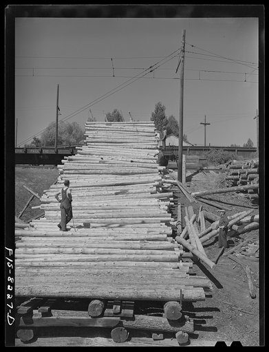 Butte, Montana. Anaconda Copper Mining Company. Pile of timbering to be used in a copper mine